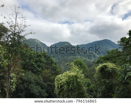 Point of view mountian