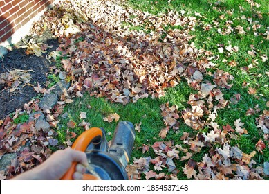 Point Of View Of A Person Using A Leaf Blower In The Fall