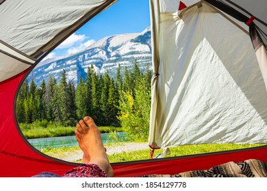 A point of view perspective during a camping trip to the Alberta Rocky Mountains, tent door frames a lush green pine forest with copy space to right
