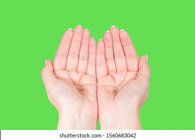 Point of view photography of two female hands in gesture of asking, praing, giving or showing something. Closeup view of 2 female white hands isolated on bright green screen background. - Powered by Shutterstock