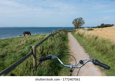 Point of view (POV) ciclist in ven Island, Sweden. A sea and a horse in the background