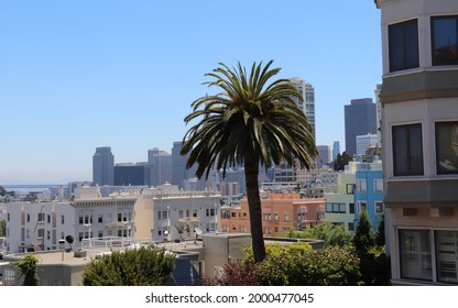Point of view in San Fransico with a palm and a building on the front and the downtown in the background. The picture was shot the 27 july 2019 in San Fransisco, California, USA. - Shutterstock ID 2000477045
