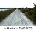 Pointe Mouillee - path, gravel road