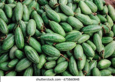 Pointed Gourd