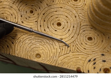 Pointer Showing Interstitial Lamellae On Compact Bone Model