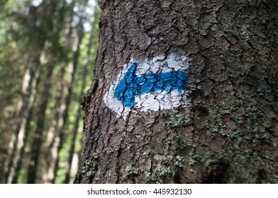 A pointer to a tree
