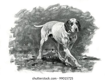 Pointing dog. Picture by Kivshenko. Published in magazine "Niva", publishing house A.F. Marx, St. Petersburg, Russia, 1899