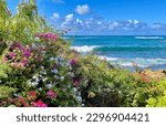 Poipu Beach Surf and Beautiful Garden Flowers in bloom