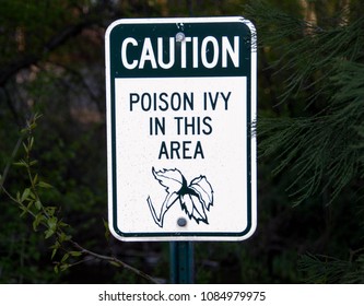 Poison Ivy Sign