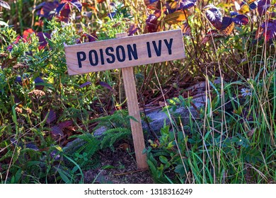 Poison Ivy Sign