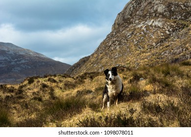 The Poisoned Glen Donegal Ireland
