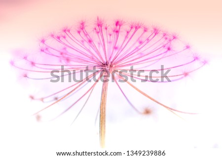 Similar – Image, Stock Photo droplet stamp Life Plant