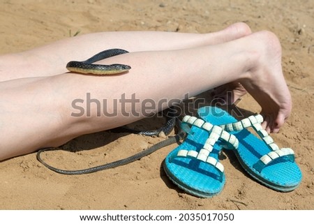 A poisonous snake on a city beach on leg of a sleeping woman.