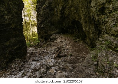 Pokljuka Gorge, Slovenia. Pleasant and relaxing trekking in the forest surrounded by greenery, wooden walkways on the rock, mountain creeks and a huge cave with openings inside where the light passes. - Powered by Shutterstock