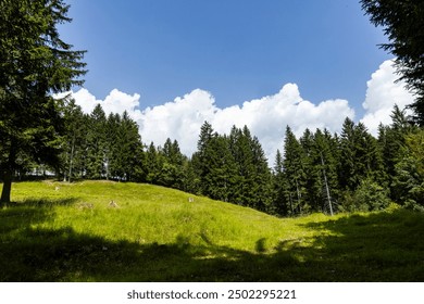 Pokljuka Gorge, Slovenia. Pleasant and relaxing trekking in the forest surrounded by greenery, wooden walkways on the rock, mountain creeks and a huge cave with openings inside where the light passes. - Powered by Shutterstock