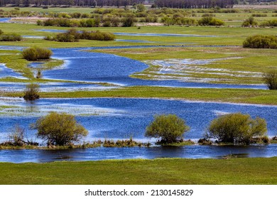 Poland. The Biebrza National Park. Overflow area of the Biebrza River draining its waters into the Narew River (in the background)