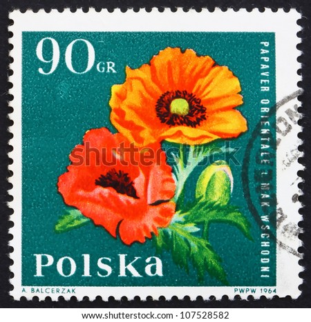 POLAND - CIRCA 1964: a stamp printed in the Poland shows Oriental Poppy, Garden Flower, circa 1964