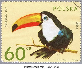 POLAND - CIRCA 1972: A stamp printed in Poland shows toucan, series is devoted to animal zoo, circa 1972