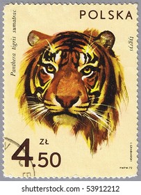 POLAND - CIRCA 1972: A stamp printed in Poland shows tiger, series is devoted to animal zoo, circa 1972