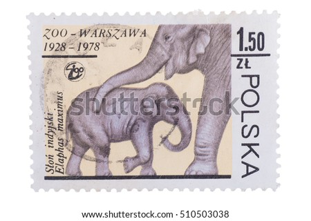 POLAND - CIRCA 1978: A stamp printed in Poland shows Elephant mother and baby, circa 1978