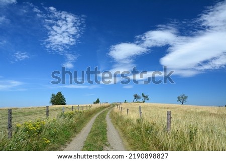 Poland, countryside in the mountains. Idyllic scenic meadow, dirt road and sky summer view. Polish village landscape.