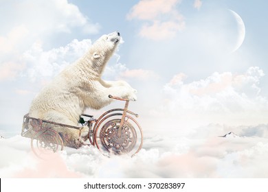 Polar bear above the clouds