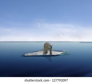 Polar Bear On An Ice Floe In Antarctica