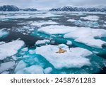 Polar bear (Ursus maritimus) resting on floating sea ice off the northeast coast of Greenland.