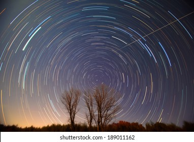 Polaris And Star Trails Over The Trees