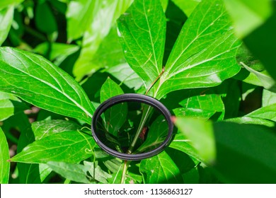polarizing filter for the camera