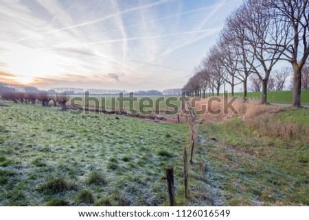 Similar – Image, Stock Photo Willow, trees, fields, blue sky & clouds