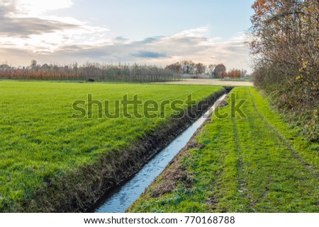 Polder landscape in the Netherlands with a diagonal ditch. In the background is the field of a tree nursery. It is autumn now.