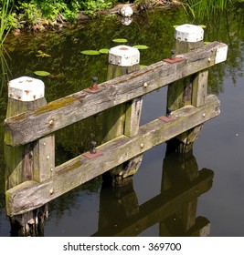 pole