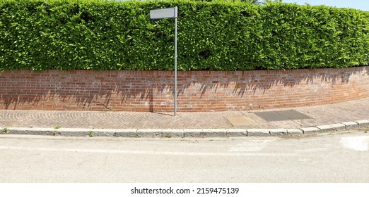 Pole With Blank Street Name On A Sidewalk. House Fencing Made Of Brick Wall And Hedge On Background, Asphalt Road In Front. Background For Copy Space 