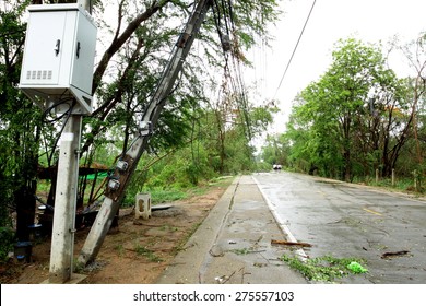 a pole and a tree laying across road after storm