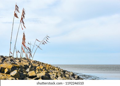 Poles With Colored Rope And Plastic Waving In The Wind On Breakwater Or Pier In The Wadden Sea Near The Entrance To The Port Of Harlingen The Netherlands With Copy Space