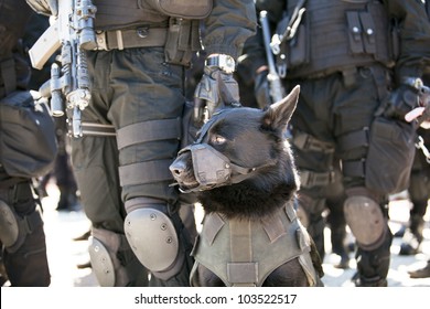 Police Dog