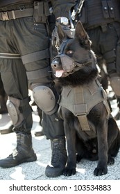 Police Dog