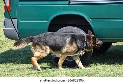 Police Dog In Action