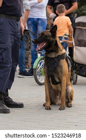 Police Dog His Handler During Working Stock Photo 1523246918 | Shutterstock