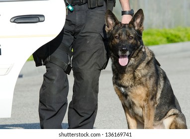 A Police Dog Next To His Handler And Their Patrol Car.