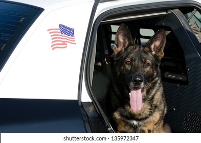 A Police Dog Sitting In The Backseat Of The Patrol Car.