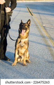 1,877 Police dog handler Images, Stock Photos & Vectors | Shutterstock