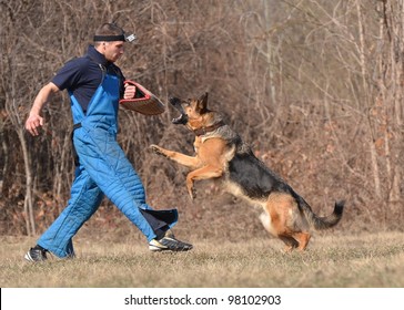 Police Dog Training