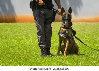 Police K9 Handler Training Dog on Grass Field
