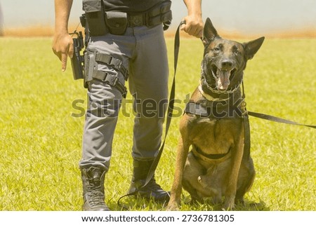 Police K9 Handler Training Dog on Grass Field
