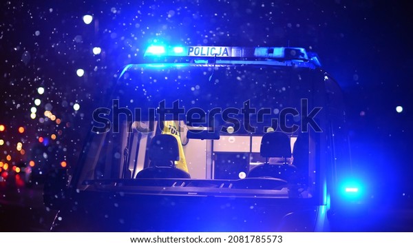 Police lights at night\
during a snowfall