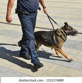 Police Officer His German Shepherd Dog Stock Photo 1131574889 