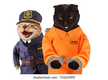 Police Officer With Prisoner In Orange Jump Suit. Two Funny Cats. Violation Of The Law.