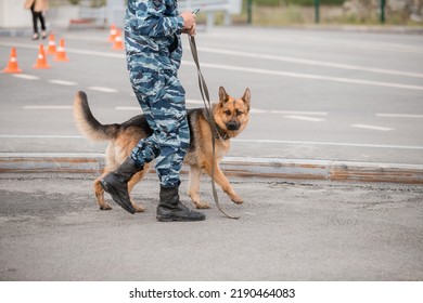 A Police Officer With A Service Dog